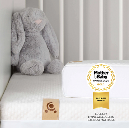 Cuddle Co Lullaby Hypo Allergenic Bamboo Foam Cot Bed Mattress