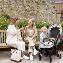 Load image into Gallery viewer, Joie Parcel Signature Compact Pushchair | Oyster
