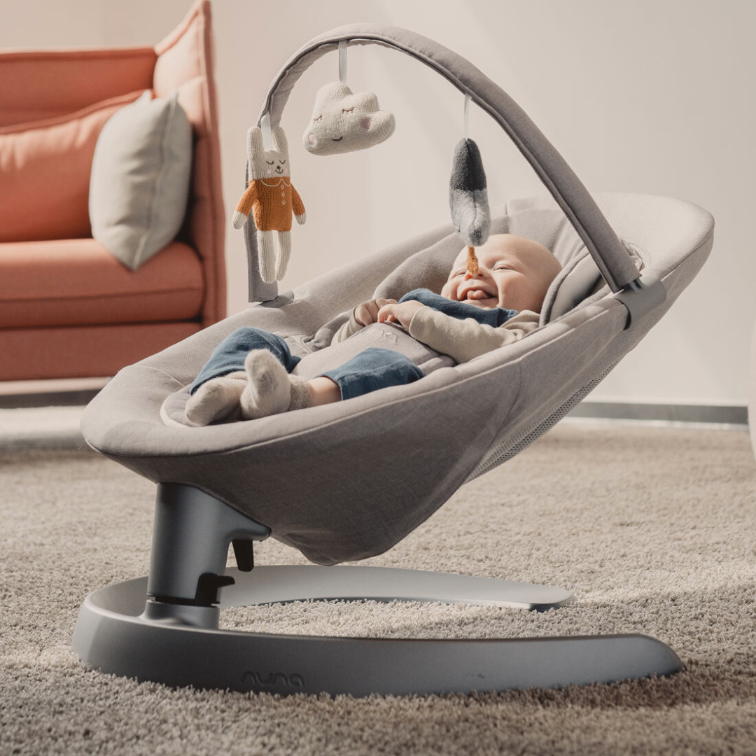 Nuna swing online chair price